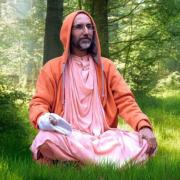 Bhakti Nandan Swami Dans la nature